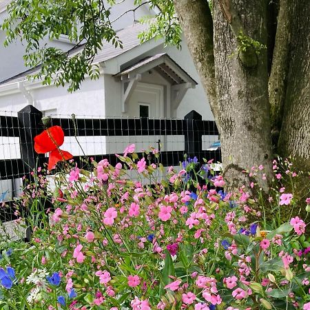 Beech Tree Cottage Glenwherry Экстерьер фото