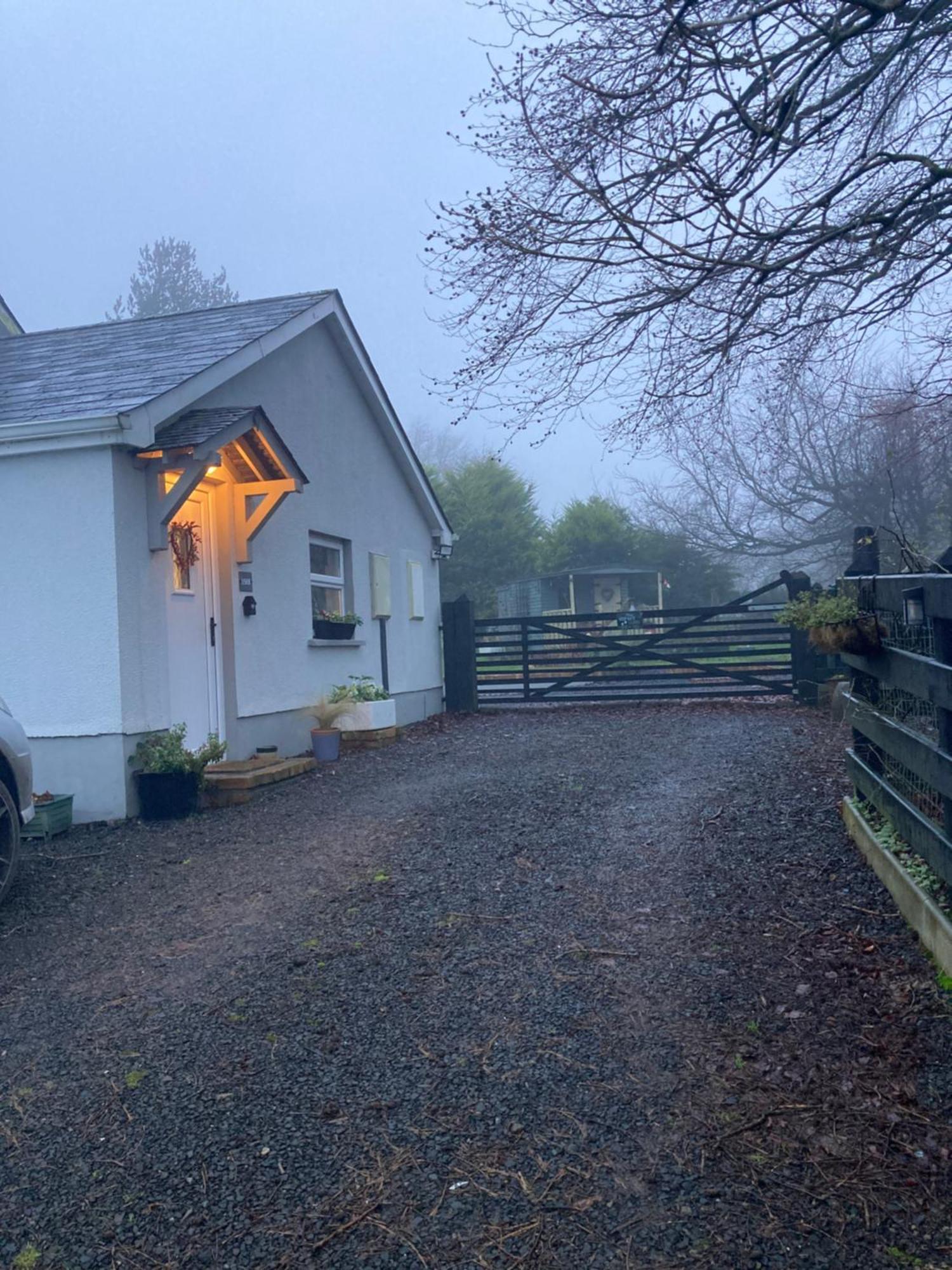 Beech Tree Cottage Glenwherry Экстерьер фото